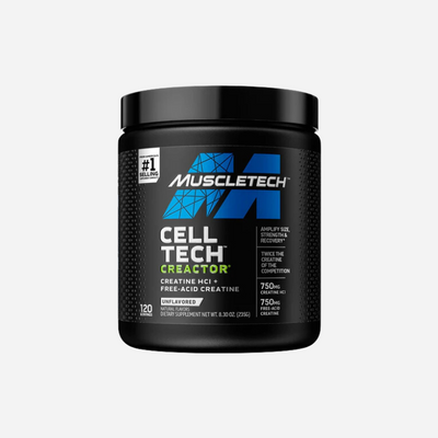 Cell Tech Creactor 240g by Muscle Tech